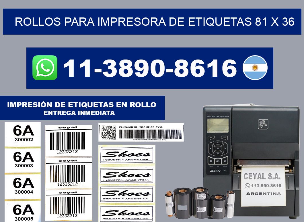 rollos para impresora de etiquetas 81 x 36