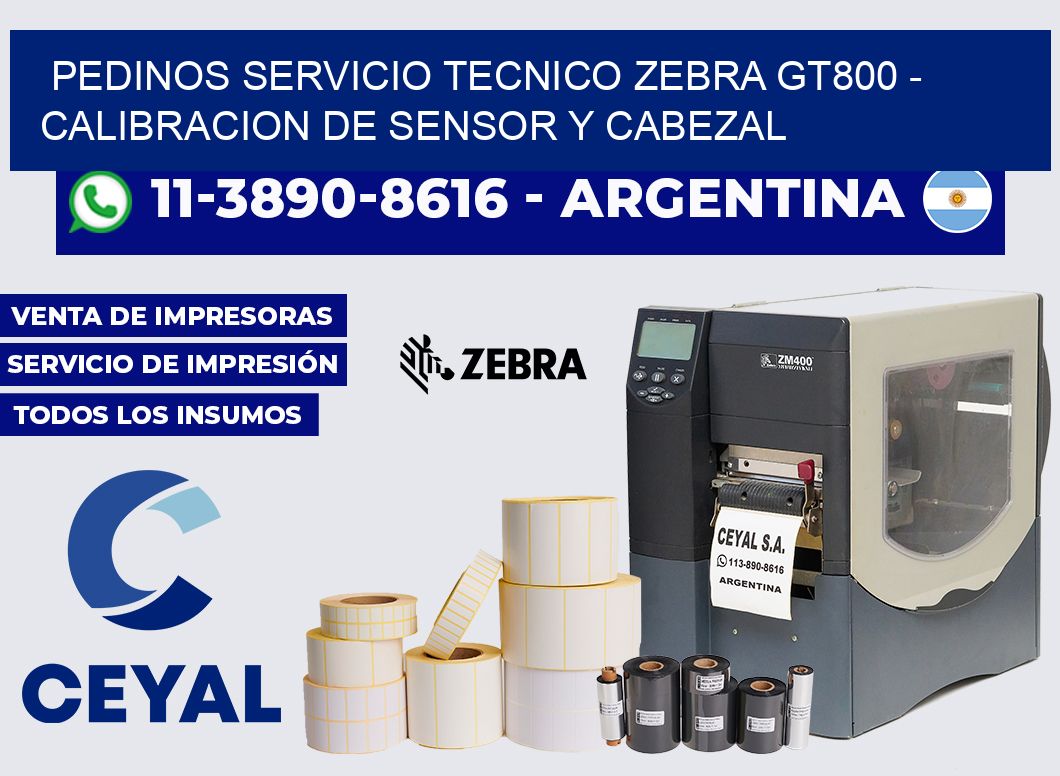 pedinos servicio tecnico zebra GT800 - Calibracion de Sensor y Cabezal