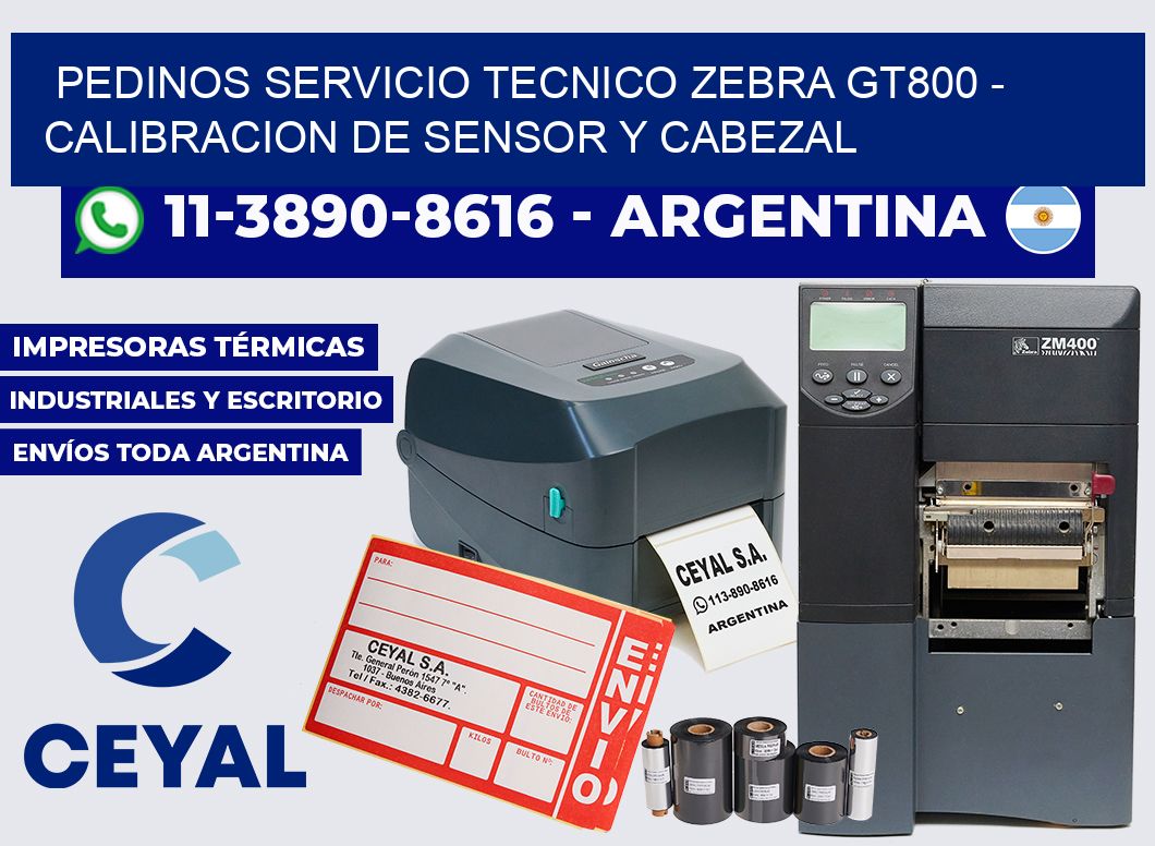 pedinos servicio tecnico zebra GT800 - Calibracion de Sensor y Cabezal